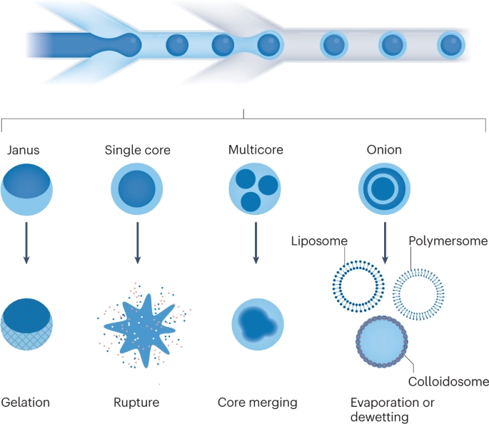 Biophysics of Physiology Conferences